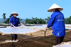 Sản xuất miến đao tại xã Quy Mông, tỉnh Lào Cai. (Nguồn: Vietnam+)