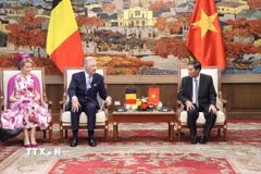 Lãnh đạo thành phố Hải Phòng hội kiến Nhà Vua và Hoàng hậu Vương quốc Bỉ. (Ảnh: Hoàng Ngọc/TTXVN)