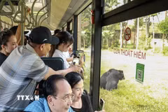 Khách du lịch tham quan một Safari. (Ảnh minh họa: Lê Huy Hải/TTXVN)