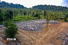 Gạch, bêtông và vật liệu xây dựng còn lại tại vị trí công trình đã bị phá dỡ gần hồ Đồng Đò. (Ảnh: Trung Nguyên/TTXVN)