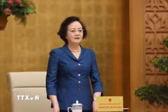 Phó Thủ tướng Phạm Thị Thanh Trà phát biểu chỉ đạo. (Ảnh: Lâm Khánh/TTXVN)