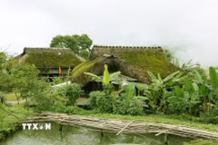 Những ngôi nhà với mái rêu phong xanh nơi núi rừng vùng biên giới Thanh Thủy (Tuyên Quang). (Ảnh: Đức Thọ/TTXVN)