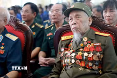 Anh hùng Lực lượng Vũ trang Nhân dân Nguyễn Văn Tích. (Ảnh: Thế Duyệt/TTXVN)
