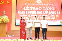 Phó Chủ tịch Ủy ban Nhân dân tỉnh Hà Tĩnh Nguyễn Thị Nguyệt trao Huân chương Độc lập hạng Ba cho thân nhân các gia đình. (Ảnh: Hữu Quyết/TTXVN)