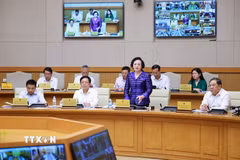 Phó Thủ tướng Phạm Thị Thanh Trà phát biểu. (Ảnh: Dương Giang/TTXVN)