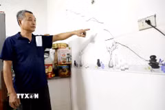 Căn nhà rộng 80m2, cao 2 tầng 1 tum của ông Bùi Công Huyên thôn Thụy Hà, xã Thái Thụy, tỉnh Hưng Yên xuất hiện nhiều vết nứt trùng với thời điểm thi công tuyến đường bộ ven biển đoạn qua tỉnh Hưng Yên. (Ảnh: Thế Duyệt/TTXVN)