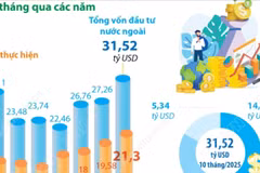 10 tháng năm 2025: Tổng vốn FDI đăng ký vào Việt Nam đạt 31,52 tỷ USD