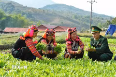 Cán bộ Đồn Biên phòng A Pa Chải (Điện Biên) giúp đỡ người dân phát triển kinh tế, xóa đói, giảm nghèo, góp phần xây dựng nông thôn mới, củng cố mối quan hệ đoàn kết, gắn bó quân dân. (Ảnh: Minh Đức/TTXVN)