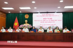 Các đại biểu Quốc hội tham gia tiếp xúc cử tri tại Hội nghị. (Ảnh: Nguyễn Cường/TTXVN)