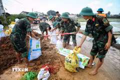 Cán bộ chiến sỹ Sư đoàn 3 (Quân khu 1) khẩn trương gia cố đê tại thôn Phú Cốc, xã Hợp Thịnh. (Ảnh: Danh Lam/TTXVN)
