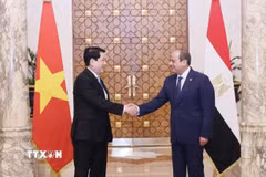 Chủ tịch nước Lương Cường và Tổng thống Ai Cập Abdel Fattah El-Sisi. (Ảnh: Lâm Khánh/TTXVN)
