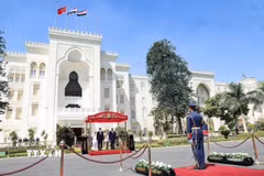 Chủ tịch nước Lương Cường và Tổng thống Ai Cập Abdel Fattah El-Sisi trên bục danh dự nghe quân nhạc cử quốc thiều hai nước. (Ảnh: Lâm Khánh/TTXVN)