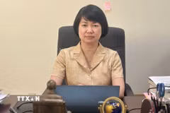 Phó Giáo sư-Tiến sỹ Cao Thu Hằng, Vụ trưởng, Trưởng Ban Nghiên cứu lý luận chính trị, Tạp chí Cộng sản. (Ảnh: Diệu Thúy/TTXVN)