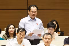 Bộ trưởng Bộ Nông nghiệp và Môi trường Trịnh Việt Hùng phát biểu giải trình, làm rõ một số vấn đề đại biểu Quốc hội nêu. (Ảnh: Doãn Tấn/TTXVN)