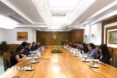 Quang cảnh Kỳ họp lần thứ 11 Tham vấn chính trị Việt Nam-Ai Cập. (Ảnh: Hoàng Nhương/TTXVN)