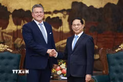 Phó Thủ tướng Bùi Thanh Sơn tiếp Cao ủy Thương mại và An ninh kinh tế Liên minh châu Âu (EU), Maros Sefcovic. (Ảnh: Dương Giang/TTXVN)