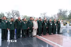 Đoàn đại biểu cựu chiến binh, cựu thanh niên xung phong và dân quân tự vệ tưởng niệm các Anh hùng liệt sỹ. (Ảnh: An Đăng/TTXVN)