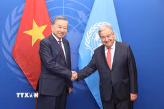 Nhân dịp tham dự Đại hội đồng Liên hợp quốc Khóa 79 và làm việc tại Hoa Kỳ, chiều 24/9/2024, giờ địa phương (sáng 25/9, giờ Việt Nam), tại thành phố New York, Tổng Bí thư, Chủ tịch nước Tô Lâm gặp Tổng thư ký Liên hợp quốc Antonio Guterres. (Ảnh: Lâm Khánh/TTXVN)
