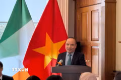 Ông Lê Đình Bá, Tham tán Thương mại, Thương vụ Việt Nam tại Anh (kiêm nhiệm Ireland) phát biểu tại diễn đàn. (Ảnh: TTXVN phát)