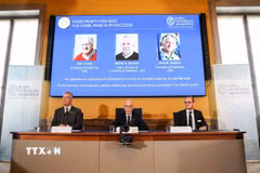 Chân dung 3 nhà khoa học người Mỹ đoạt giải Nobel Vật lý 2025 (trên màn hình, từ trái sang): John Clarke, Michel H. Devoret và John M. Martinis. (Ảnh: THX/TTXVN)