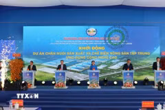 Ủy viên Trung ương Đảng, Phó Bí thư Thường trực tỉnh uỷ, Chủ tịch HĐND tỉnh Đồng Nai Tôn Ngọc Hạnh và các đại biểu nhấn nút khởi động Dự án Chăn nuôi sản xuất và chế biến nông sản tập trung ứng dụng công nghệ cao. (Ảnh: Nhật Bình/TTXVN)