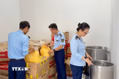 Hàng chục thùng mỹ phẩm, nguyên liệu và máy móc sản xuất bị lực lượng chức năng niêm phong, lập biên bản để phục vụ công tác điều tra, xử lý. (Ảnh: Quang Thái/TTXVN)