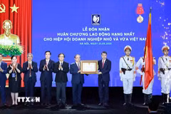 Thủ tướng Lê Minh Hưng trao Huân chương Lao động hạng Nhất cho Hiệp hội Doanh nghiệp nhỏ và vừa Việt Nam. (Ảnh: Dương Giang/TTXVN)