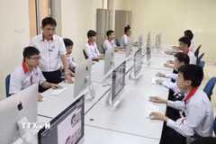 Ảnh minh họa. (Ảnh: Diệu Thúy/TTXVN)