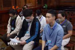 Các bị cáo tại phiên tòa. (Ảnh: Hồng Đạt/TTXVN)