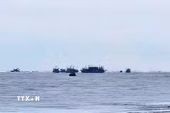 Nhận được tin báo, Ủy ban Nhân dân phường Ngọc Sơn đã nhanh chóng huy động lực lượng dân quân, công an, lực lượng phòng chống thiên tai địa phương phối hợp cùng các chủ tàu và ngư dân trong khu vực tiếp cận hiện trường triển khai công tác cứu hộ. (Ảnh: TTXVN phát)