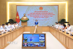 Phó Thủ tướng Phạm Thị Thanh Trà chủ trì buổi làm việc. (Ảnh: An Đăng/TTXVN)
