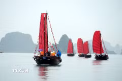 Trong giai đoạn đầu, liên doanh hai đơn vị đưa vào sử dụng 6 thuyền buồm phục vụ du khách. (Ảnh: Văn Đức/TTXVN)