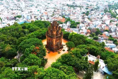 Tháp Nhạn. (Ảnh: TTXVN phát)