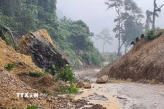 Một tảng đá nặng hàng tấn rơi xuống đường nối xã Trường Sơn với xã Trường Ninh. (Ảnh: TTXVN phát)