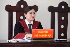 Thẩm phán, chủ tọa phiên họp. (Ảnh: Kim Anh/TTXVN)