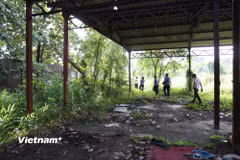 Khu đất công trên 2.800m² tại phường Hiệp Bình được Viện Kiểm sát Nhân dân khu vực 2 phối hợp Phòng Thi hành án dân sự khu vực 2 TP. Hồ Chí Minh tổ chức thu hồi. (Ảnh: Hồng Đạt/Vietnam+)