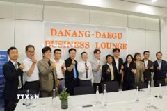Các đại biểu chụp ảnh lưu niệm tại Lễ ra mắt Không gian trình diễn công nghệ và đổi mới sáng tạo thành phố Daegu (Hàn Quốc) tại Đà Nẵng. (Ảnh: Khoa Chương/TTXVN)