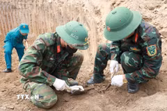 Đội Quy tập hài cốt liệt sỹ Bộ Chỉ huy Quân sự tỉnh Khánh Hòa cẩn trọng đào từng lớp đất để tìm kiếm hài cốt và di vật. (Ảnh: Xuân Triệu/TTXVN)
