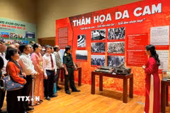 Đại biểu tham quan triển lãm. (Ảnh: Trần Lê Lâm/TTXVN)