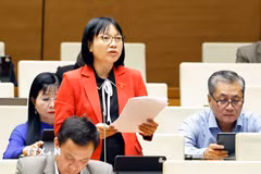 Đại biểu Quốc hội thành phố Hải Phòng Nguyễn Thị Việt Nga phát biểu. (Ảnh: Doãn Tấn/TTXVN)