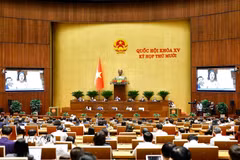 Quang cảnh phiên họp của Quốc hội. (Ảnh: Doãn Tấn/TTXVN)