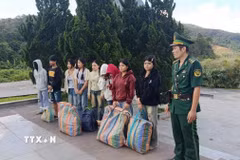 Cơ quan chức năng đã xử phạt vi phạm hành chính đối với các công dân Lào về hành vi “qua lại biên giới quốc gia mà không làm thủ tục xuất nhập cảnh,” áp dụng hình thức trục xuất và trao trả về nước theo quy định pháp luật. (Ảnh: TTXVN phát)