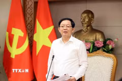 Phó Thủ tướng Hồ Quốc Dũng phát biểu. (Ảnh: An Đăng/TTXVN)