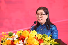 Phó Trưởng Ban Tuyên giáo và Dân vận Trung ương Đinh Thị Mai. (Nguồn: TTXVN)