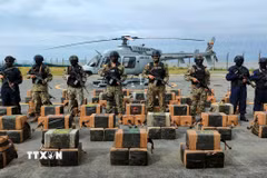 Số ma túy thu giữ. (Ảnh minh họa: AFP/TTXVN)