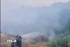 Công an phường phối hợp với Đội Phòng cháy, chữa cháy và cứu nạn, cứu hộ xử lý, hạn chế nguy cơ cháy lan và kéo dài. (Ảnh: Nguyễn Thảo/TTXVN)
