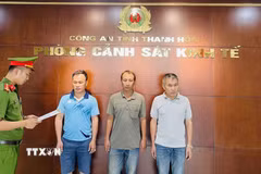 Khởi tố vụ 3 đối tượng “vi phạm quy định về khai thác tài nguyên." (Ảnh: TTXVN phát)