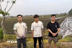 Ba đối tượng nhập cảnh trái phép từ Campuchia về Việt Nam bị bắt giữ tại khu vực Mốc 170/1, thuộc ấp Rừng Dầu, xã Bến Cầu, tỉnh Tây Ninh. (Ảnh: TTXVN phát)