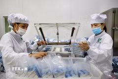 Đóng gói dược phẩm loại viên nang tại nhà máy sản xuất dược phẩm. (Ảnh: Hồng Đạt/TTXVN)