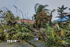 Philippines hứng chịu trung bình khoảng 20 cơn bão mỗi năm. (Nguồn: THX/TTXVN)